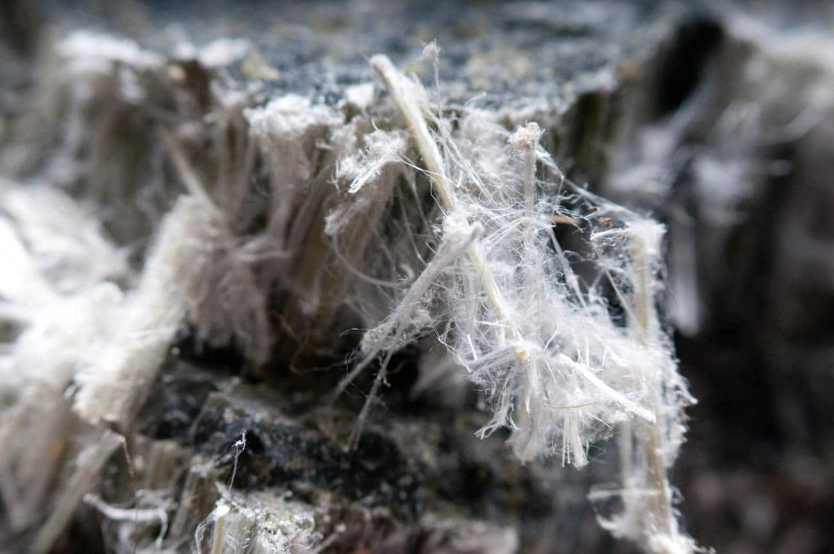 Fibres d&apos;amiante au microscope