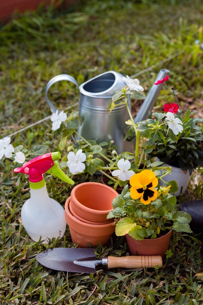 métaux lourds dans le jardin